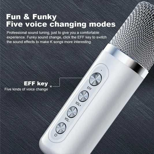 Bluetooth Karaoke Speaker